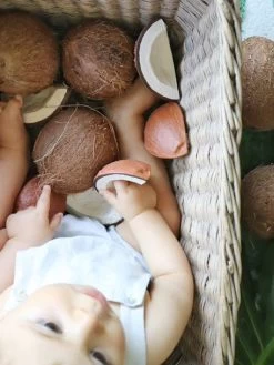 Jouet De Dentition Coco La Noix De Coco - OLI & CAROL Marron - Oli Et Carol -Vertbaudet Enfant Promos Magasin jouet de dentition coco la noix de coco oli carol 5