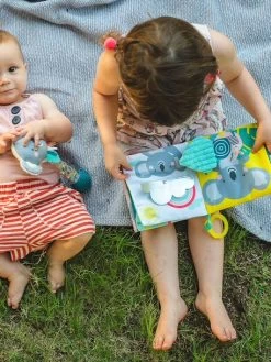 Livre Joey Koala TAFTOYS Beige - Taf Toys -Vertbaudet Enfant Promos Magasin livre joey koala taftoys 3