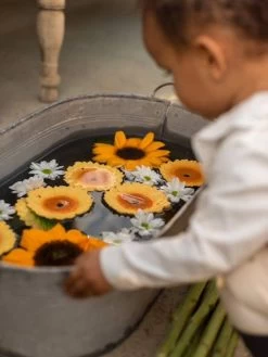 Sun Le Tournesol - OLI & CAROL Jaune - Oli Et Carol -Vertbaudet Enfant Promos Magasin sun le tournesol oli carol 3