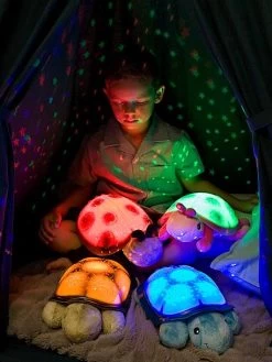 Veilleuse Projecteur D’étoiles CLOUD B Twilight Turtle (tortue Bleue) - Cloud B -Vertbaudet Enfant Promos Magasin veilleuse projecteur detoiles cloud b twilight 5